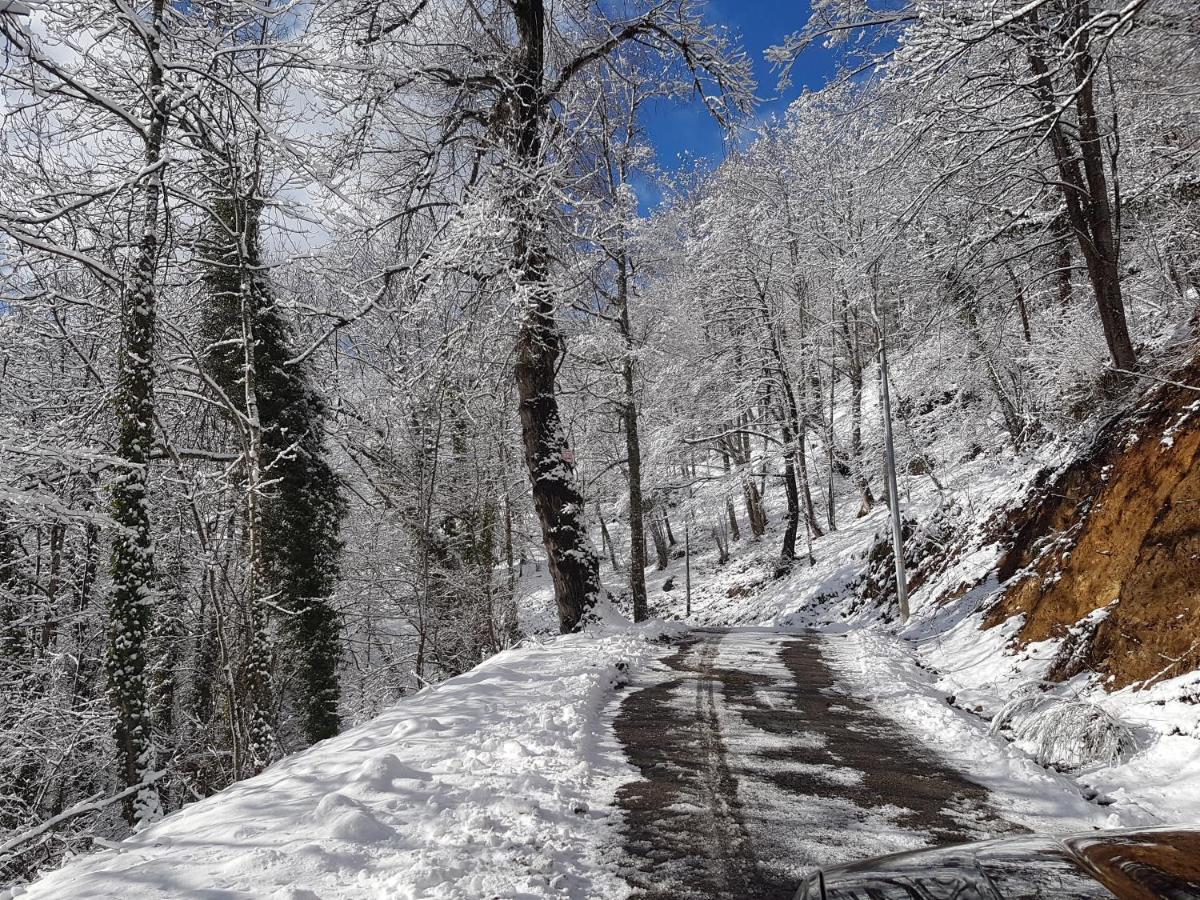 Le Chalet De Pyrene Et Hercule Arignac ภายนอก รูปภาพ